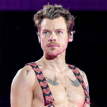 Biographie Harry Styles