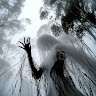 User_13430