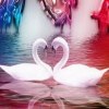 User_14165