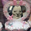 User_14861