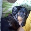 User_15550