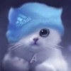 User_15919