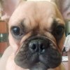 User_16122