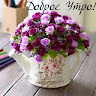 User_3706