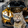 User_3980