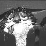 User_4178