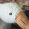User_4223