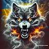 User_5455