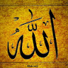 User_5543