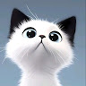 User_6749