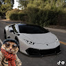 User_8391
