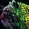 User_8881