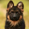 User_8938
