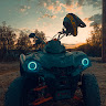 User_9377