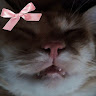 User_9406
