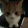 User_9534