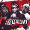 Pochette MC Saci - Aquariano Nato (MC PRETCHAKO & DJ SAMMER) MC Saci - Aquariano Nato (MC PRETCHAKO & DJ SAMMER)