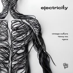 Pochette Vintage Culture, Fancy Inc, Meca - Electricity