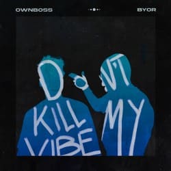 Pochette Ownboss - Don't Kill My Vibe (feat. BYOR)