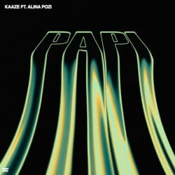 Pochette KAAZE feat. Alina Pozi - Papi