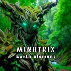 Pochette Earth element
