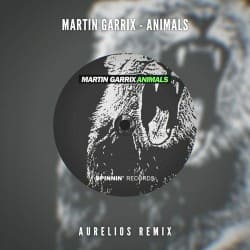 Pochette Martin Garrix - Animals (Aurelios Remix)