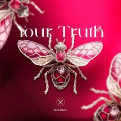 Pochette Taly Shum - Your Truth