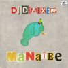 Pochette DJ DimixeR - Manatee DJ DimixeR - Manatee