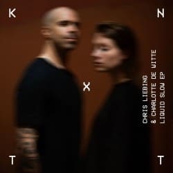 Pochette Chris Liebing & Charlotte De Witte - In Memory