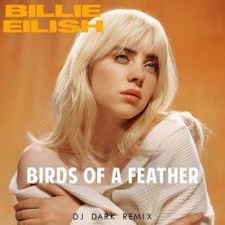 Pochette Billie Eilish - Birds Of A Feather