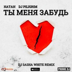 Pochette Natan & DJ Piligrim - Ты Меня Забудь