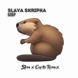 Pochette Slava Skripka - Бобр (Slim x Corto Remix)