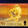 Pochette Вячеслав Бутусов - Гибралтар-лабрадор Вячеслав Бутусов - Гибралтар-лабрадор