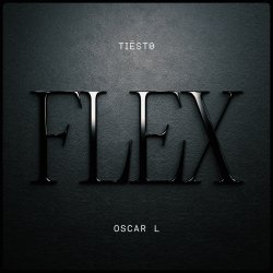 Pochette Tiesto & Oscar L - Flex