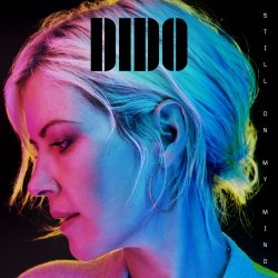 Pochette DIDO - Hunter