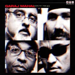 Pochette Garaj Mahal - Paladin