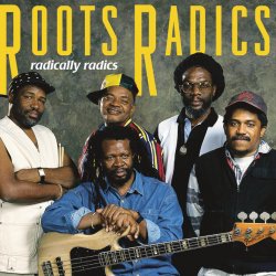 Pochette Roots Radics - Everything