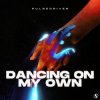 Pochette Pulsedriver - Dancing On My Own Pulsedriver - Dancing On My Own