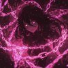 Pochette DJ Anemia & Crier & Sixnite - This Feeling (Slowed) DJ Anemia & Crier & Sixnite - This Feeling (Slowed)