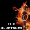 Pochette The Bluetones - String Along The Bluetones - String Along
