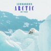 Pochette Leonardus - Lovestruck Leonardus - Lovestruck