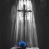 Pochette Ava Max - Lost Your Faith (SONIKKU Remix) Ava Max - Lost Your Faith (SONIKKU Remix)
