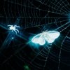 Pochette MOTHICA - Toxins (Remix) MOTHICA - Toxins (Remix)