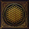 Pochette Bring Me The Horizon - Can You Feel My Heart Bring Me The Horizon - Can You Feel My Heart