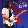 Pochette Big Gilson - Cab Driver Blues Big Gilson - Cab Driver Blues