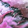 Pochette Linkin Park - Overflow Linkin Park - Overflow