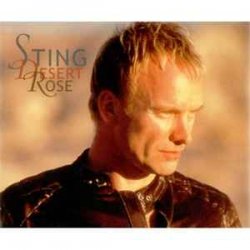 Pochette Sting & Feat Cheb Mami - Desert Rose
