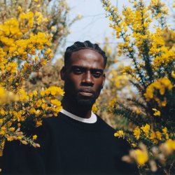 Pochette Lil Silva - Drumatic