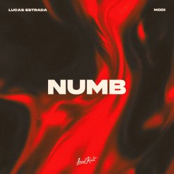 Pochette Estrada & Modi - Numb Lucas