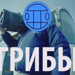 Pochette Грибы - Тает Лёд